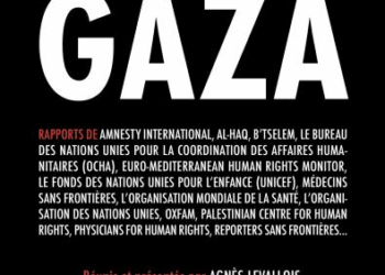 Le Hamas à l’heure du génocide à Gaza. Entretien avec Leïla Seurat