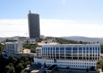 Le Hamas à l’heure du génocide à Gaza. Entretien avec Leïla Seurat