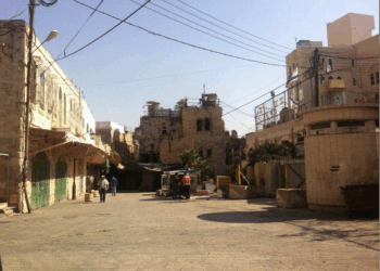 Le Hamas à l’heure du génocide à Gaza. Entretien avec Leïla Seurat