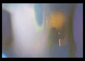 Le Hamas à l’heure du génocide à Gaza. Entretien avec Leïla Seurat