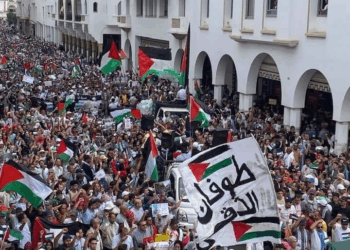 Le Hamas à l’heure du génocide à Gaza. Entretien avec Leïla Seurat