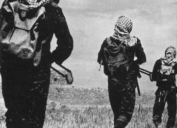 Le Hamas à l’heure du génocide à Gaza. Entretien avec Leïla Seurat