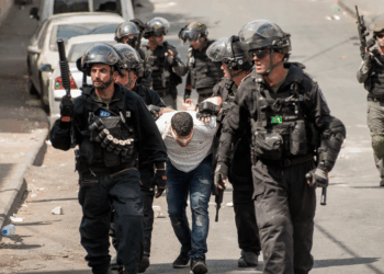 Le Hamas à l’heure du génocide à Gaza. Entretien avec Leïla Seurat