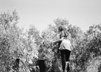 Le Hamas à l’heure du génocide à Gaza. Entretien avec Leïla Seurat