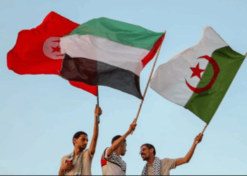 Soumoud, marche pour Gaza : les dessous d’un passage empêché