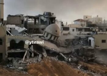 Entre armée et milices irrégulières, les multiples acteurs du génocide à Gaza