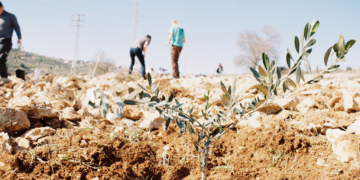 Raja, militant palestinien. Trajectoire d’un engagement en Cisjordanie