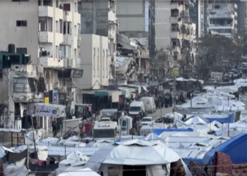 Témoignages de Gaza