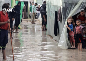 Le génocide continue : Israël tue les Palestinien·nes par le froid