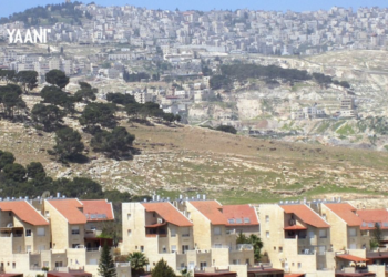 En finir avec les mythes du narratif sioniste : « Israël n’est pas une construction coloniale puisqu’il n’y a pas de métropole »