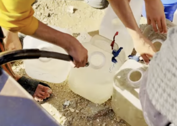 Témoignages de Gaza (2)