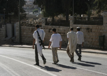 Un ordre milicien en Cisjordanie