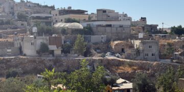 « Face aux attaques des colons israéliens, j’ai l’impression de ne pas être en vie ». Le quotidien des Palestiniens de Masafer Yatta
