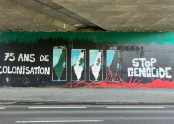 Palestine-Israël, les oeillères du débat public français